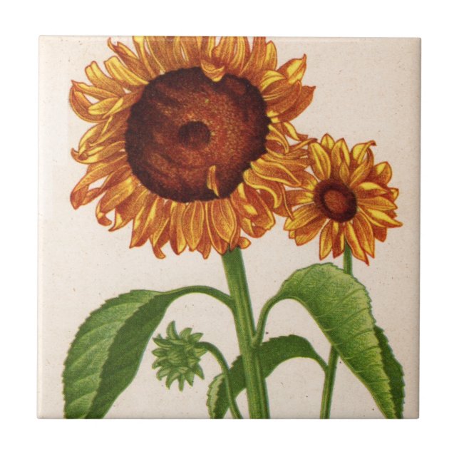 Solblommor Kakelplatta (Framsidan)