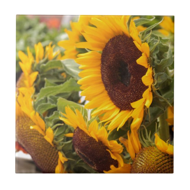 Solblommor! Kakelplatta (Framsidan)