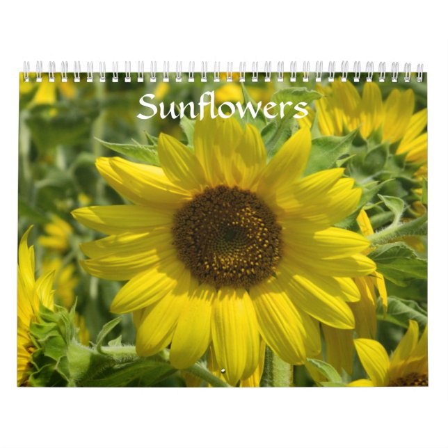 Solblommor Kalender (Omslag)