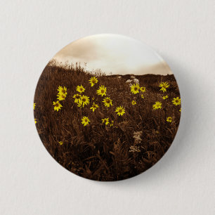 Solblommor Knapp