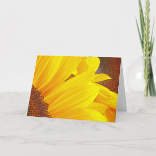Solblommor Kort