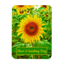 Solblommor Land Gult Grönt Bright Blommigt