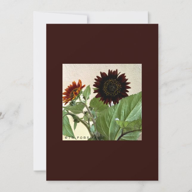 Solblommor, litet anteckningskort för handskrivet inbjudningar (Framsida)