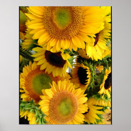 Solblommor Lycklig  Poster murdekan