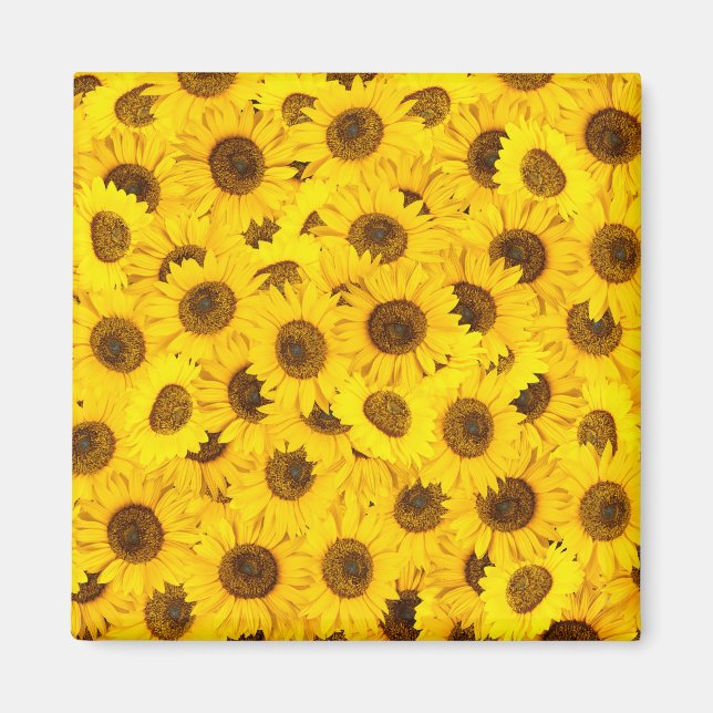 Solblommor Magnet (Framsidan)
