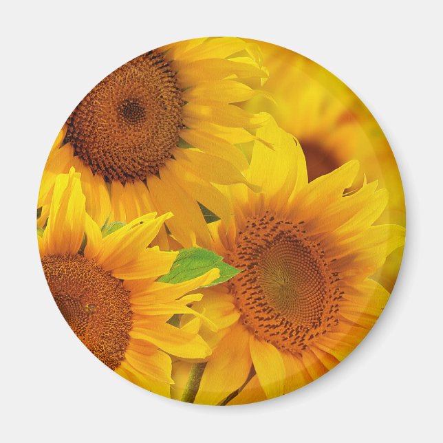 Solblommor Magnet (Framsidan)