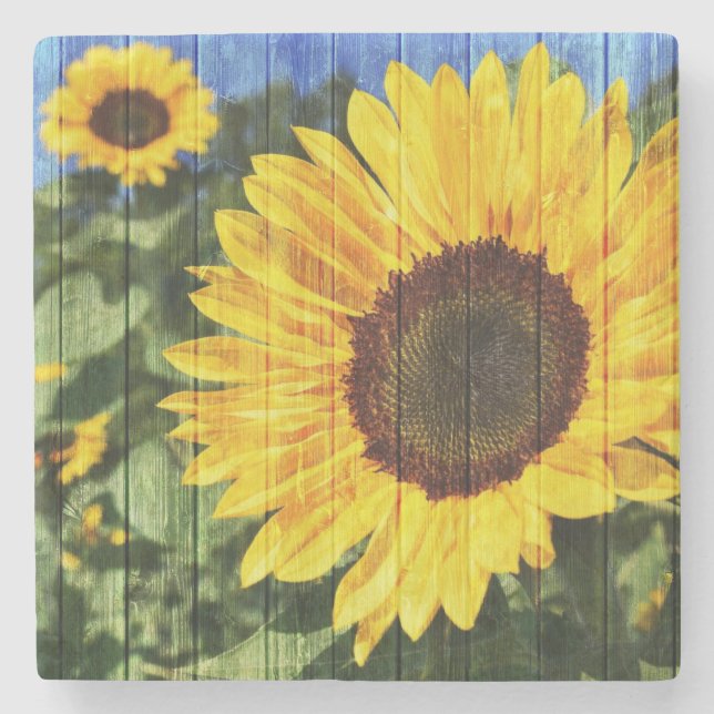 Solblommor, målat stängsel stenunderlägg (Framsidan)