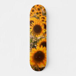 Solblommor Mini Skateboard Bräda 18,5 Cm