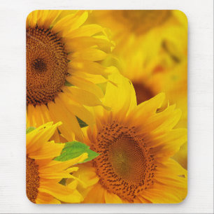 Solblommor Mouse Pad Musmatta