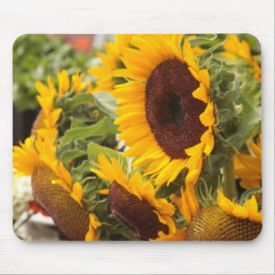 Solblommor Musmatta