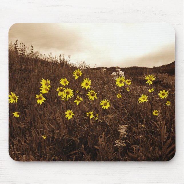 Solblommor Musmatta (Framsidan)