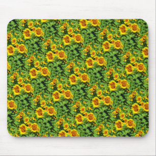 Solblommor Musmatta