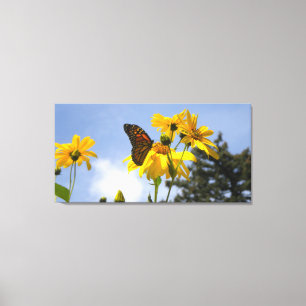 Solblommor N Butterflies förpackad canvas print