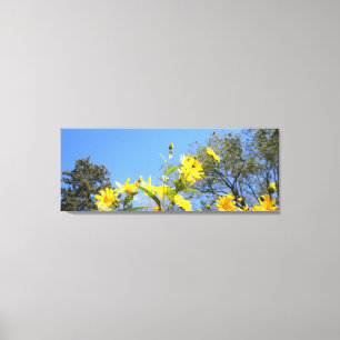 Solblommor N Himlar förpackad Canvas Skriv ut