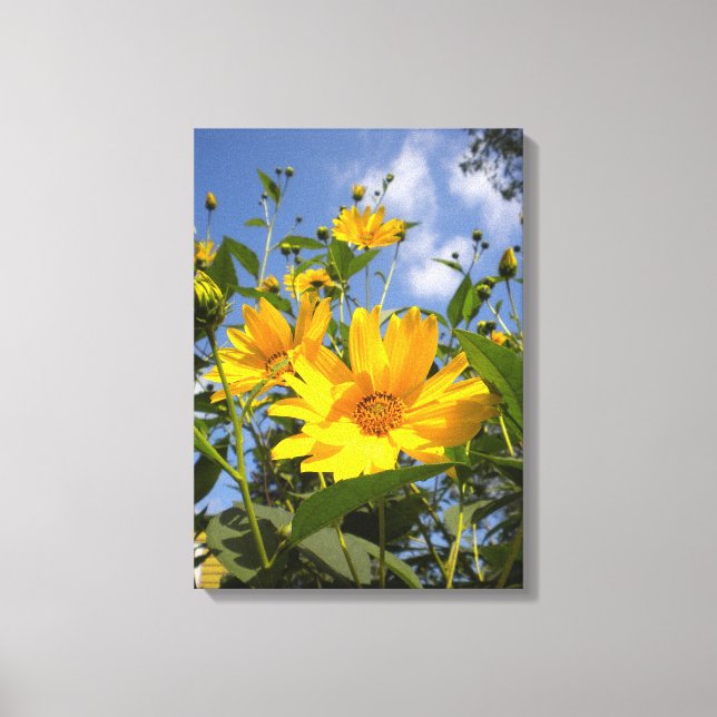 Solblommor N Himlar Wrapped Canvas (Framsida)