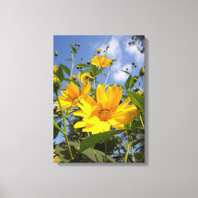 Solblommor N Himlar Wrapped Canvas (Framsida)