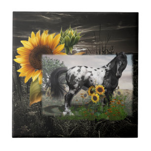 Solblommor och Appaloosa Horse Kakelplatta