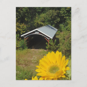Solblommor och Cover bridge Vykort