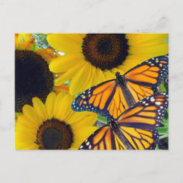 Solblommor och monarch Butterflies Vykort