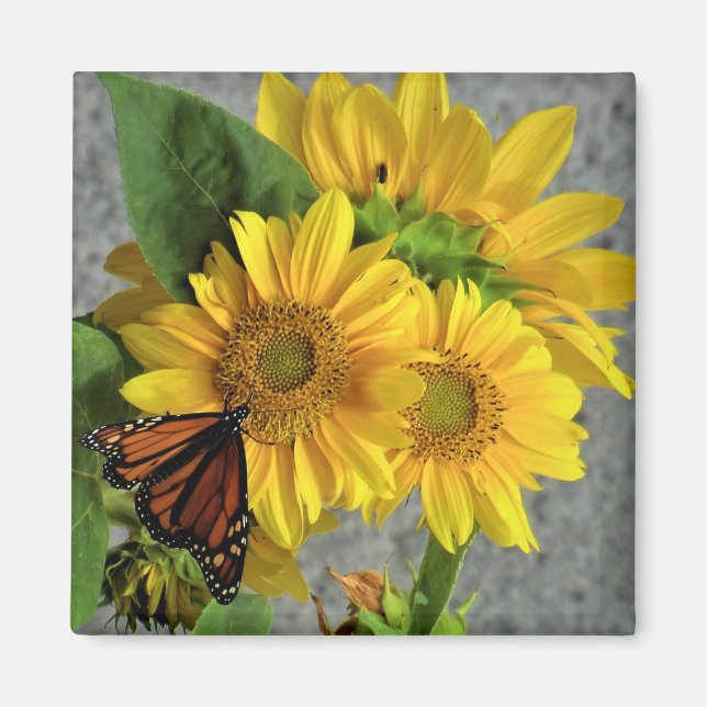 Solblommor och monarch Butterfly Fridge Magnet (Framsidan)