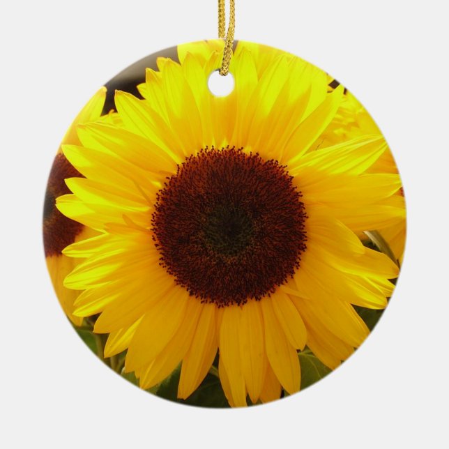 Solblommor Ornament (Framsidan)