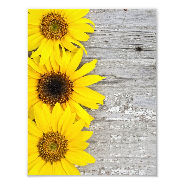 Solblommor på Bord Fototryck (Framsidan)