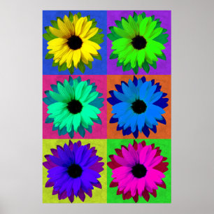 Solblommor-pop-konst Poster