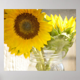 Solblommor Poster