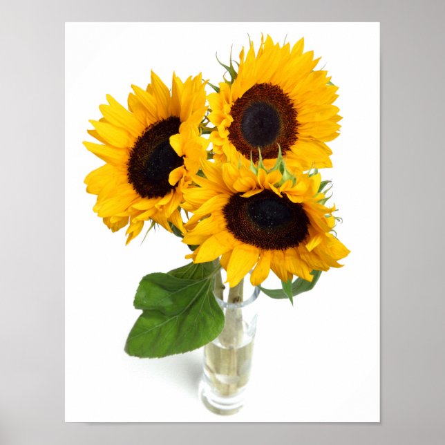 Solblommor Poster (Framsidan)