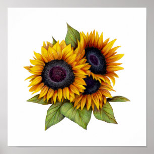 Solblommor Poster
