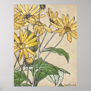 Solblommor Poster