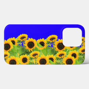 Solblommor - Ukrainas Flagga Peace Freedom Ukraina