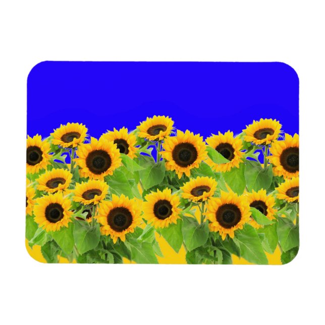 Solblommor - Ukrainas Flagga Peace Freedom Ukraina Magnet (Horisontell)