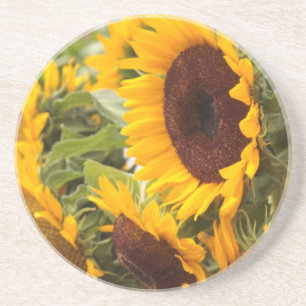 Solblommor! Underlägg
