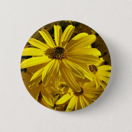 Solblommor vid djurparken knapp