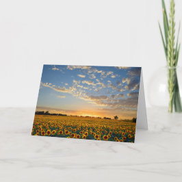 Solblommor vid Sunset Blank Kort
