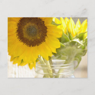 Solblommor Vykort