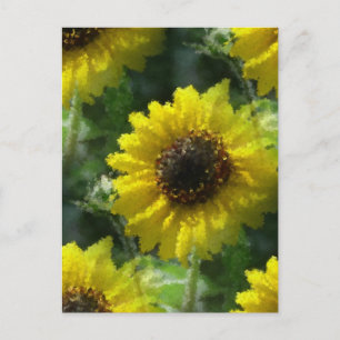 Solblommor Vykort