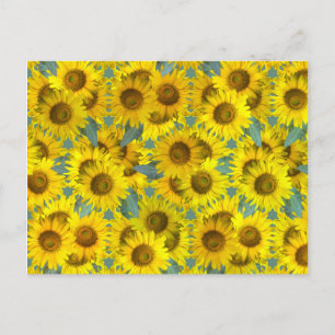 Solblommor Vykort
