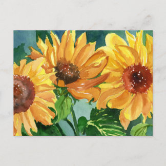 Solblommor Vykort
