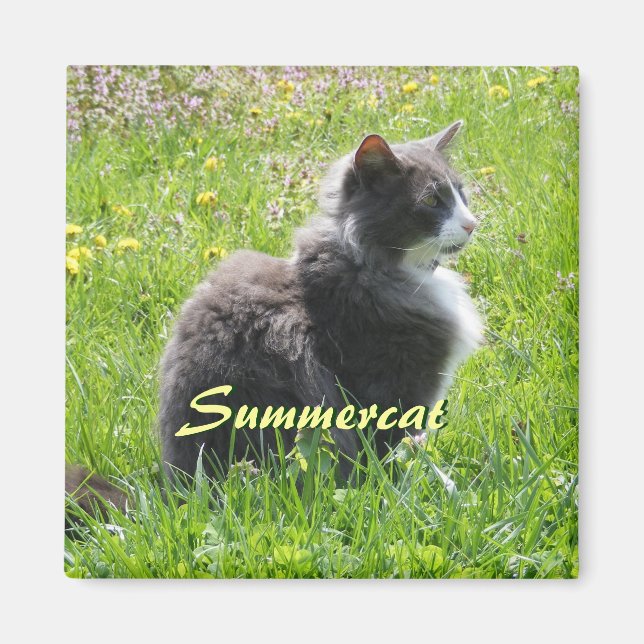 Solcellsreaktortrågen Magnet (Framsidan)