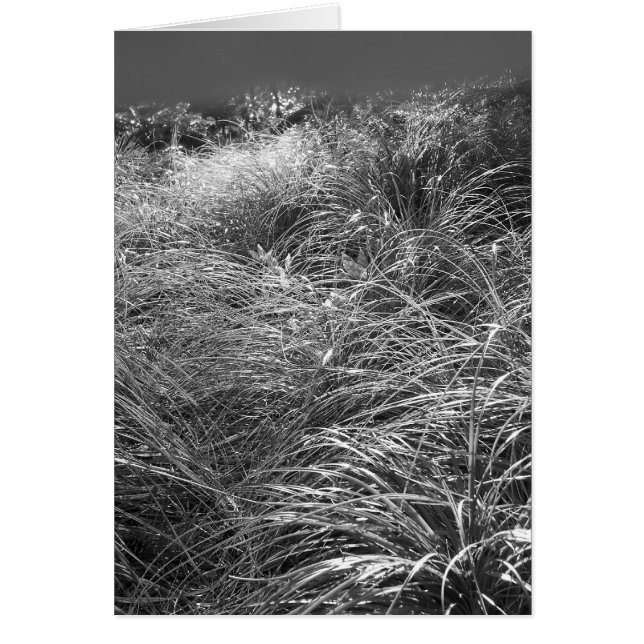 Soldans OBS Kort (Framsidan)