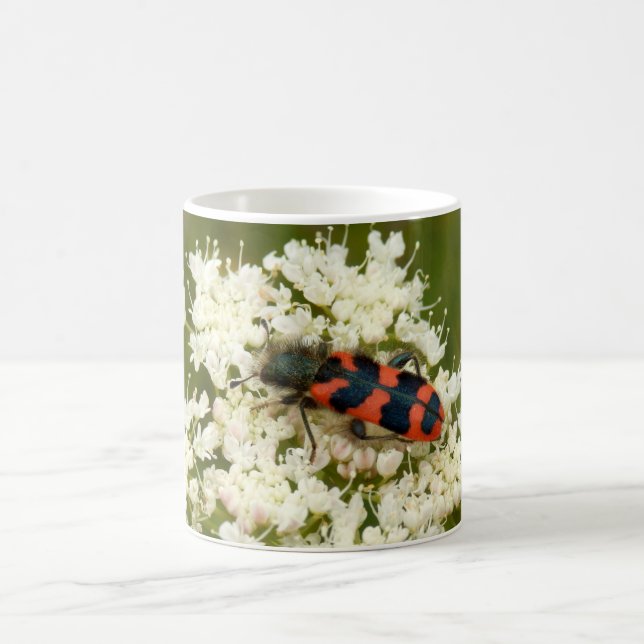 Soldat eller Checkered Beetle Kryp Mugg (Center)