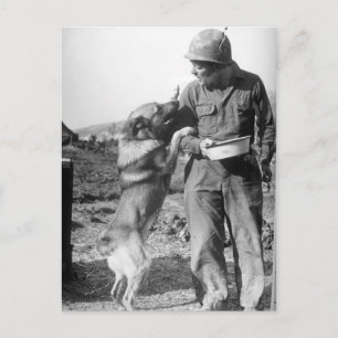 Soldier och Hans German Shepherd WWII Vykort