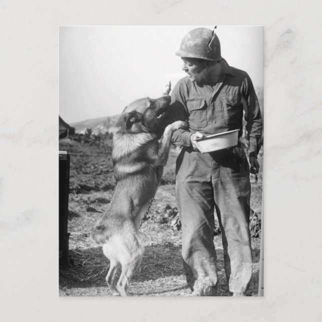 Soldier och Hans German Shepherd WWII Vykort (Framsida)