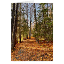 Soldotna Bäck Park Höst - 5 x 7-tums bildkort - 5  Hälsningskort