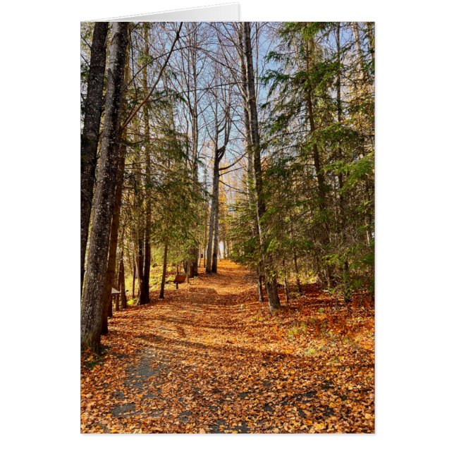 Soldotna Bäck Park Höst - 5 x 7-tums bildkort - 5  Hälsningskort (Framsidan)