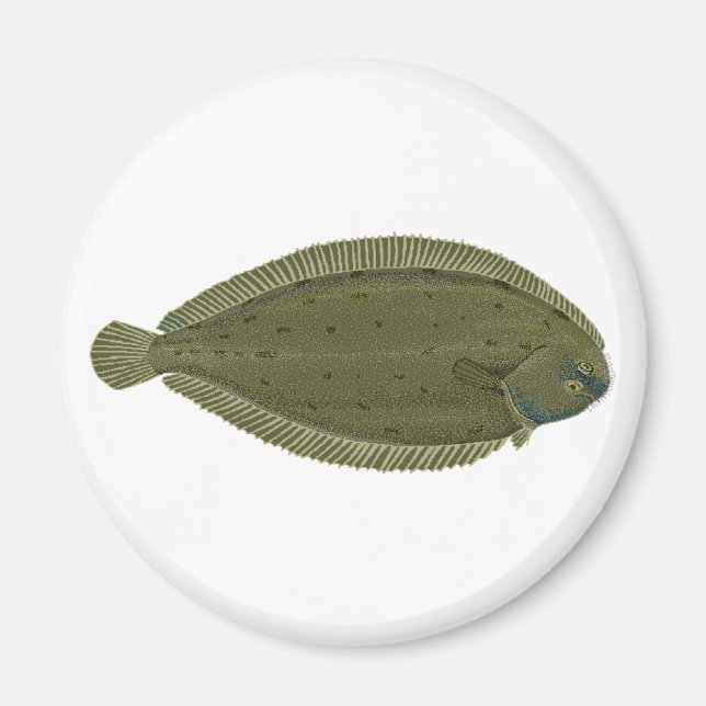 Sole Magnet (Framsidan)