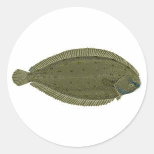 Sole Runt Klistermärke