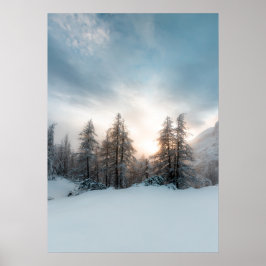 Solen bakom granar poster